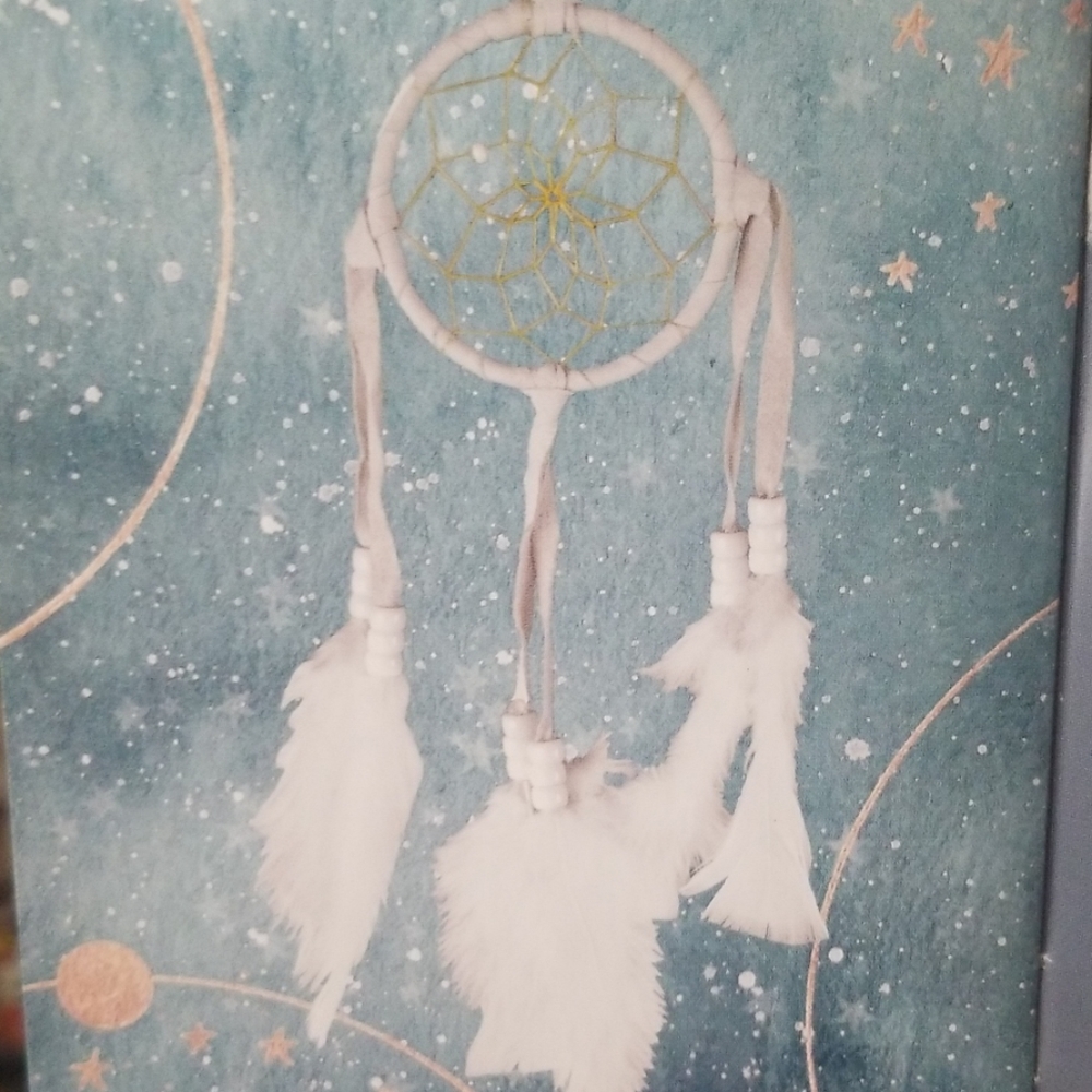 Authentic Native American Dreamcatcher